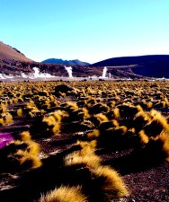 Mapa de Topografia Artística