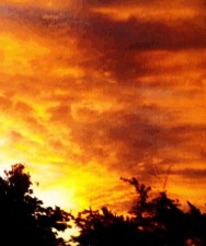 Mapa de Clima Cultural