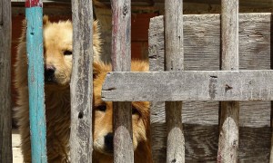 Óscar Moreno Escárraga, "La casa de la frontera", 2015. Silvino Gallo.