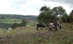 Óscar Moreno Escárraga, "La casa de la frontera", 2015. Jaime Beltrán.