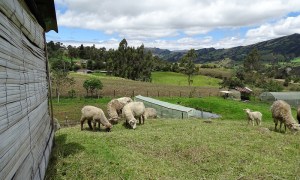 Óscar Moreno Escárraga, "La casa de la frontera", 2015. Jaime Beltrán.