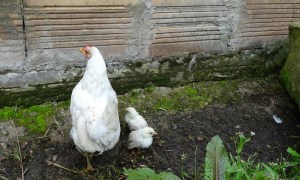 Óscar Moreno Escárraga, "La casa de la frontera", 2015. Jaime Beltrán.