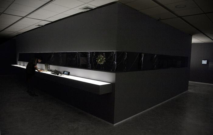 Gilberto Esparza, "Plantas Autofotosintéticas", 2015