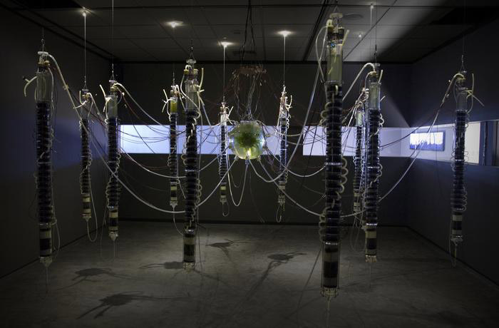 Gilberto Esparza, "Plantas Autofotosintéticas", 2015