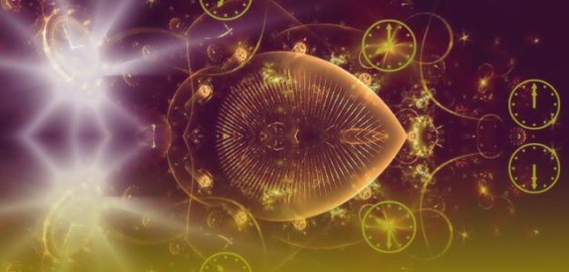 Pasión es educación y arte en línea [Aula Virtual de Taller Multinacional]